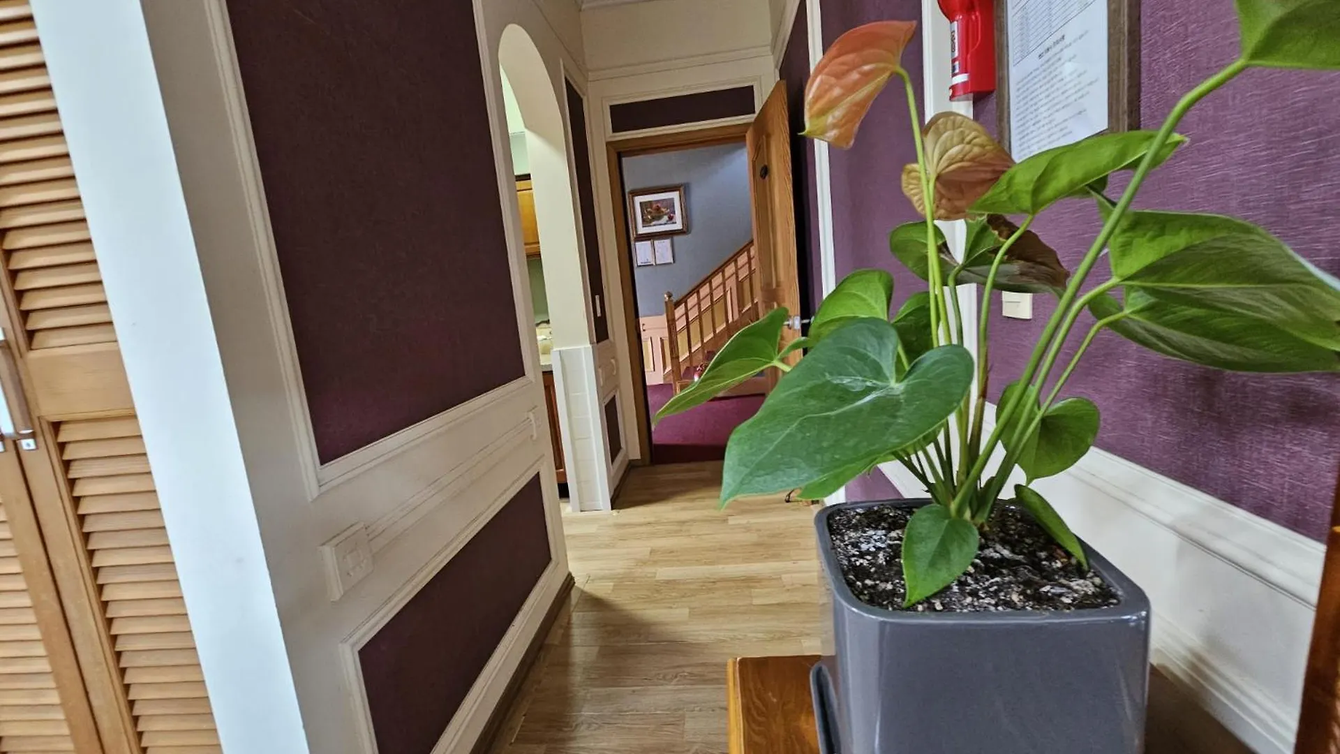 Country house Red Castle Pension Jeju