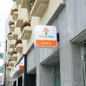 Orange Tree Czedżu